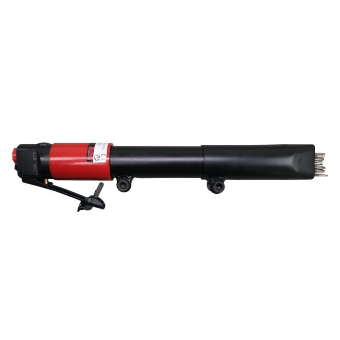 Trelawny 1B Needle Scaler